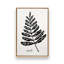 Ensemble de 4 botaniques noirs et blancs-1479030348-1479030347