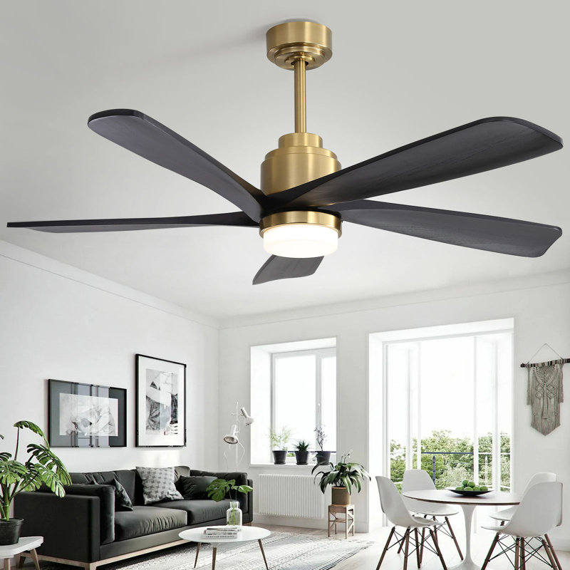 Ventilateur de plafond 52 po avec lumières DEL Damecia, Noir et or