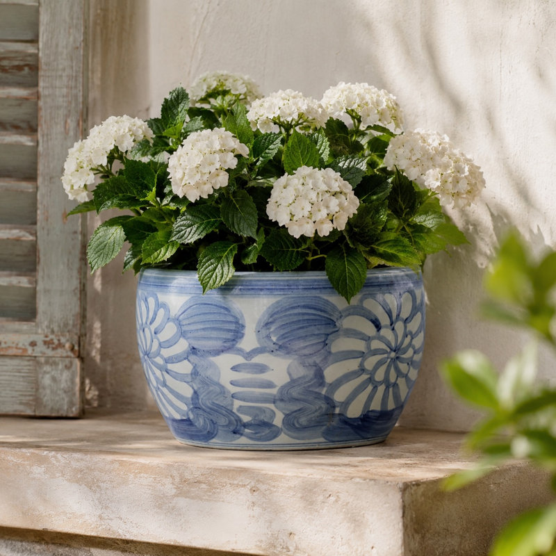 Suilmann Ceramic Planter