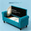 Banc de rangement avec siège relevable