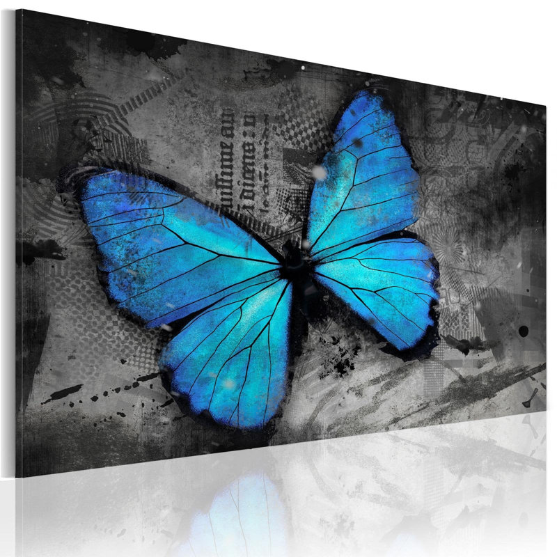 Ticu, étude du papillon sur toile, H 16 po x l 24 po x P 0,7 po