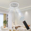 Ventilateur de plafond avec lumière DEL Mount