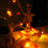 0.5'' Twinkle String Lights