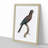 Black Parrot by F. Levaillant - Picture Frame Art Print-55512438-55512439