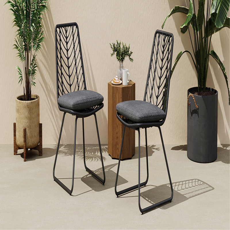DEJA CHAIR, 2PCS avec 2 coussins, gris