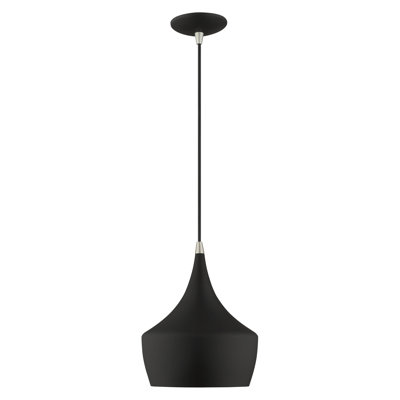 Schultz 1 - Light Single Teardrop Pendant