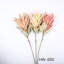 Protea Cynaroides, arrangement floral, longue tige