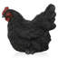 Chicken Animals Garden Statue-95852216