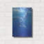 Luxe métal Art «Under Sea Dolphins» par Tim O'Toole «Luxe métal Art» Under Sea Dolphins »par Tim O'Toole