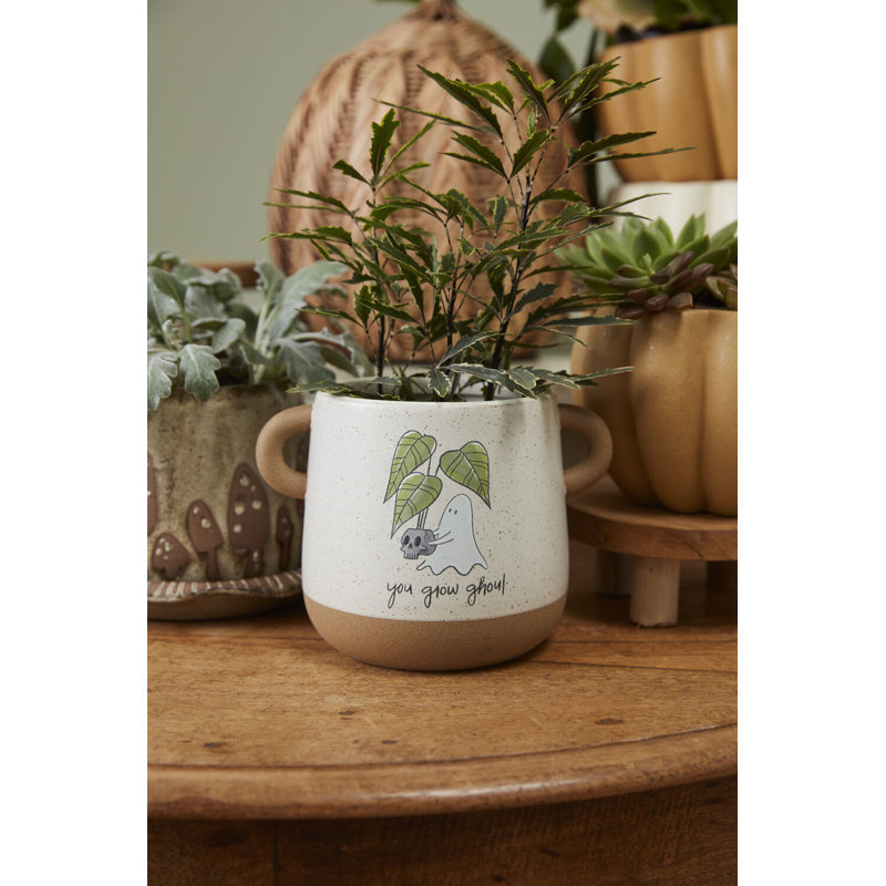 Pot fantôme Optimistic 6,75 po x 5 po, H 5 po x l 5 po x P 6,75 po