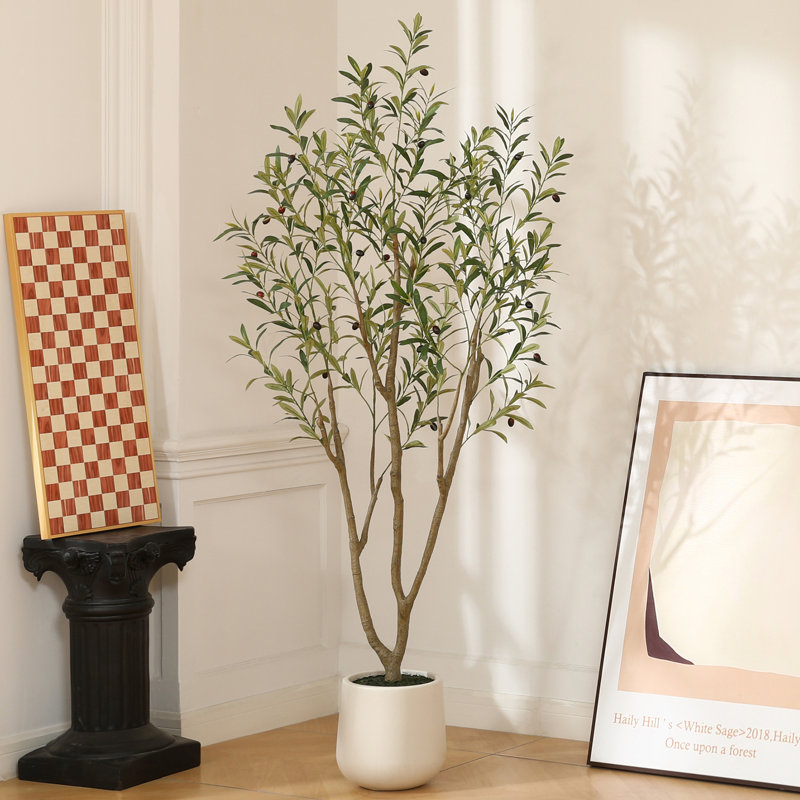 Adcock Artificial Olive Tree in White Planter, 72" H x 24" W x 24" D