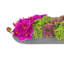 Orchid and  Arrangement-286518432-286518435