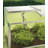 BioStar Cold Frame 31.2" W x 59.04" D