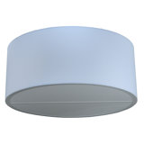 6 - Light Flush Mount