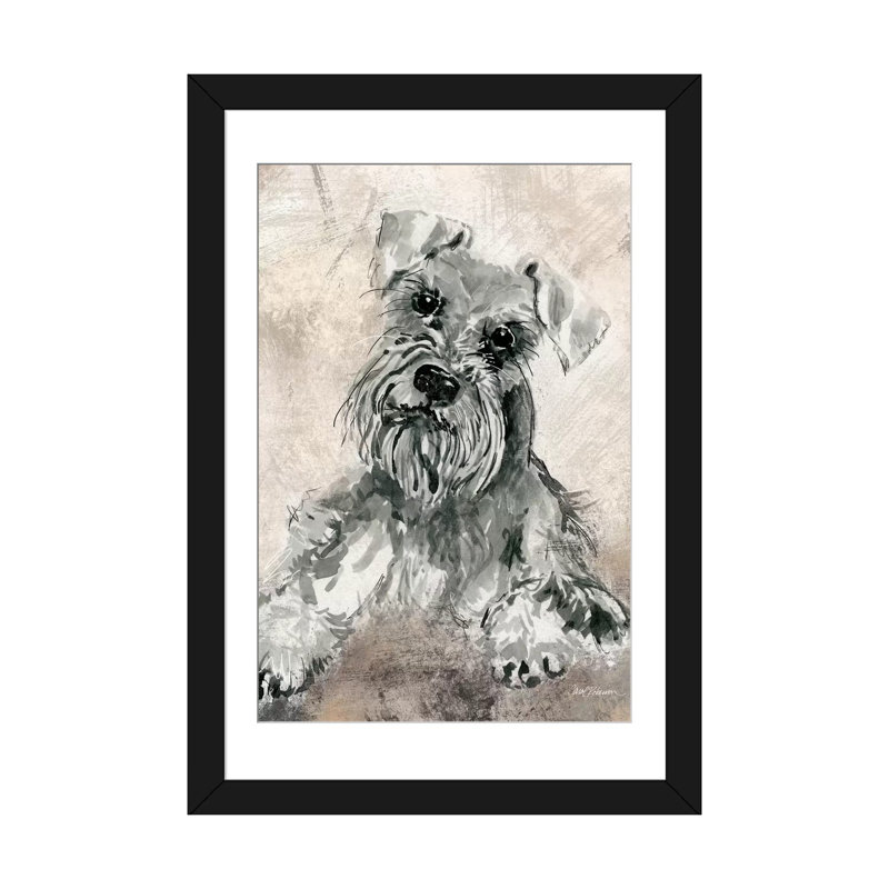 « sketchy study : schnauzer », impression sur toile, H 24 po x l 16 po x P 1 po, Papier d'art encadré noir, Blanc