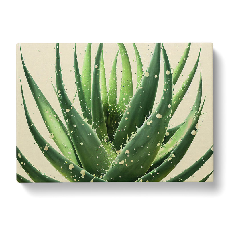 Angelical Aloe Vera Plant - Wrapped Canvas, 35cm H x 50cm W x 3cm D