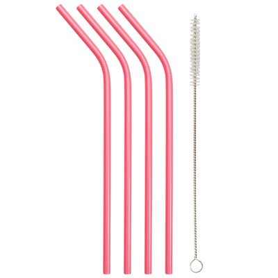 Echo Three Novelty Stainless Steel Reusable Straws