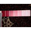 Katalynna Oriental Area Rug in Red
