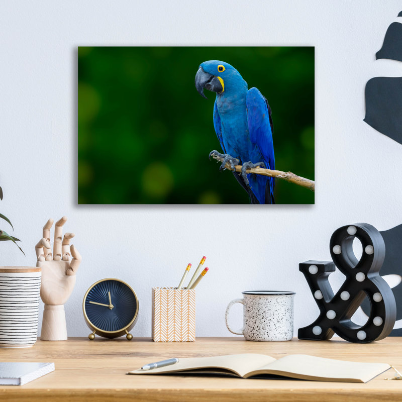 «Lark Manor ™» par Jonathan Ross, art mural en verre acrylique, 16 po x 12 po, H 12 po x l 16 po x P 0,13 po