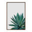 « agave cactus »-impression photographie-49905612-53128552
