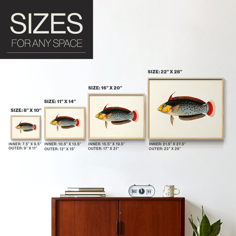 Tropical Fish Collection IV -Framed Print - Restickable, H 8 po x l 10 po, Naturel