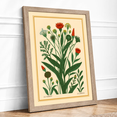 Flowering Plant Study Botanical - Framed Print