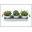 Ensemble de 3 plantes succulentes artificielles en pots métalliques argentés, parfait pour une décoration de table moderne et une verdure nécessitant peu d'entretien.