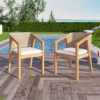 Dining Chair Set Of 2