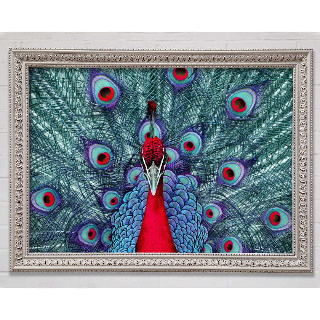 Gerahmter Kunstdruck Peacock Beauty