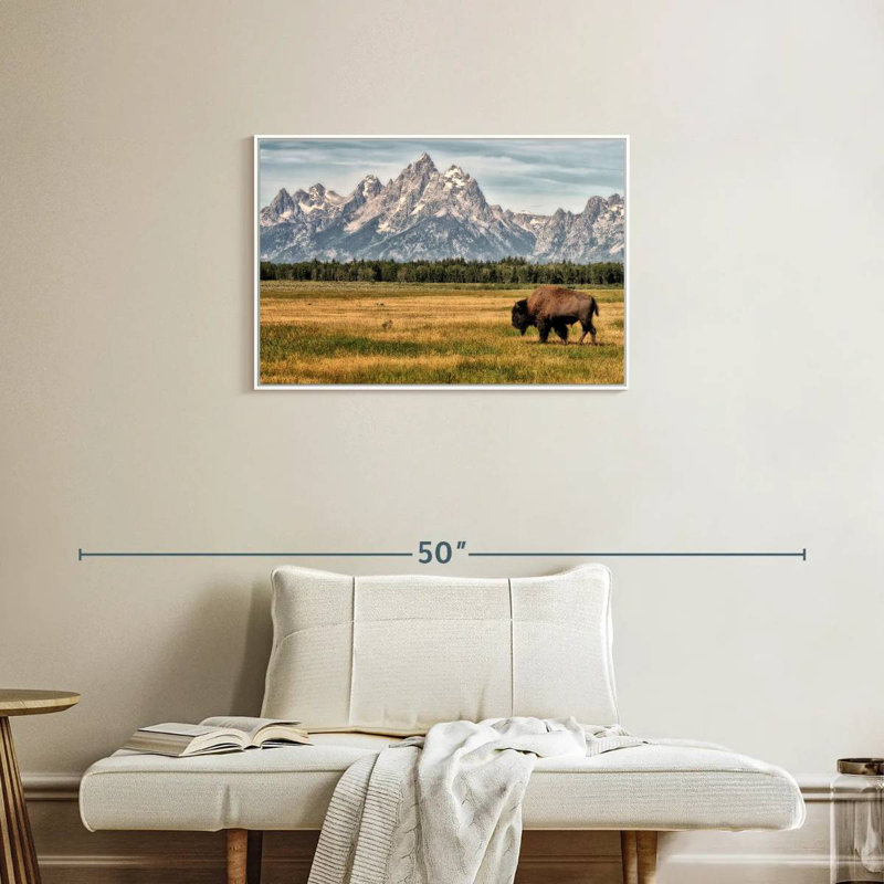 Bull Bison à Grand Teton, Cadre flottant blanc, 31 po x 21 po