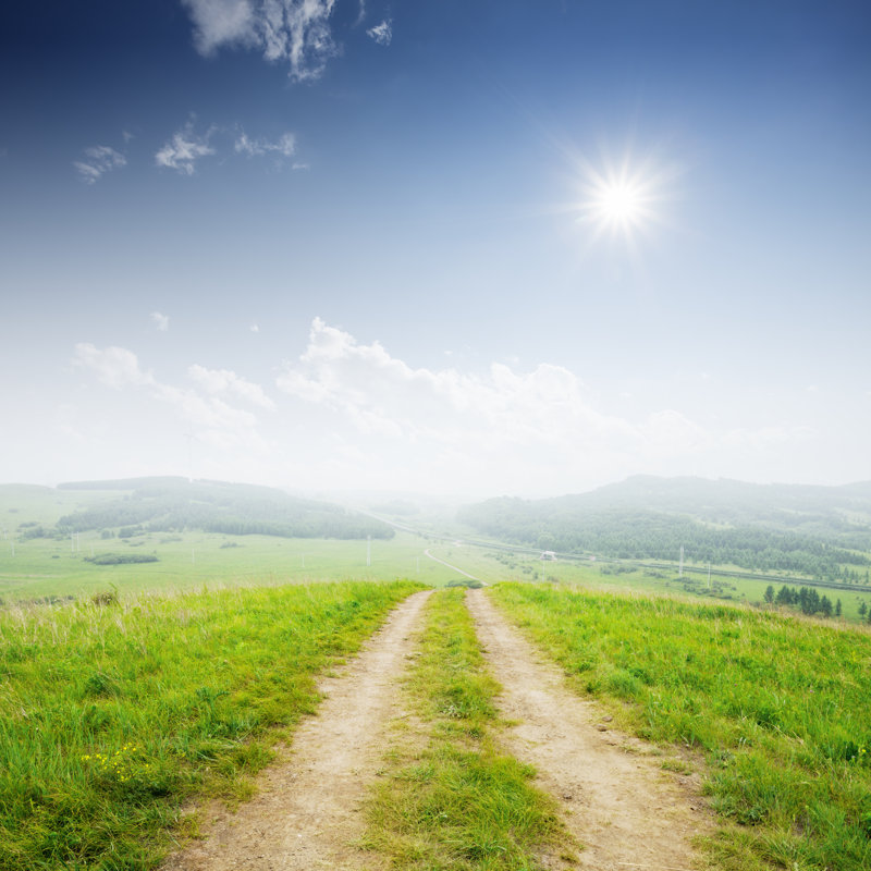 Grassland With White Cloud by Zhudifeng - Wrapped Canvas Print, 30cm H x 30cm W x 3.8cm D