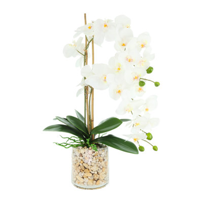 Arrangement d'orchidées en verre avec des pierres