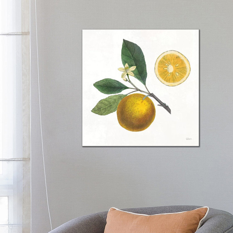 Classic Citrus II by Sue Schlabach - Wrapped Canvas Painting, 66.04 cm H x 66.04 cm W x 1.91 cm D