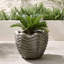Kapuas Concrete Planter