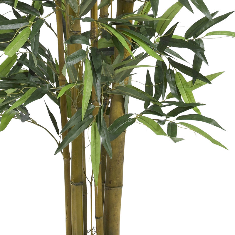 Faux Bamboo Tree in Pot, 48" H x 30" W x 30" D