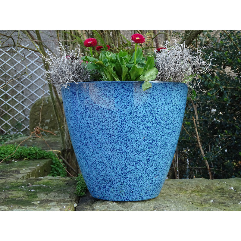 Alexaundrea Pot Planter