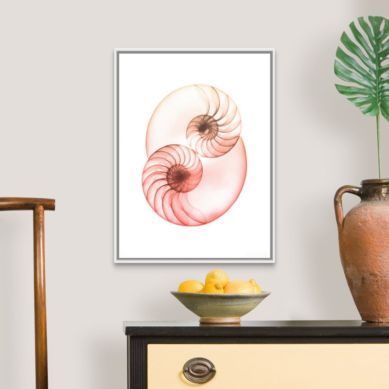 "Sunset Shell 1" par Albert Koetsier, reproduction d’art sur toile, H 26 po x l 20 po x P 1,75 po, Toile blanche encadrée