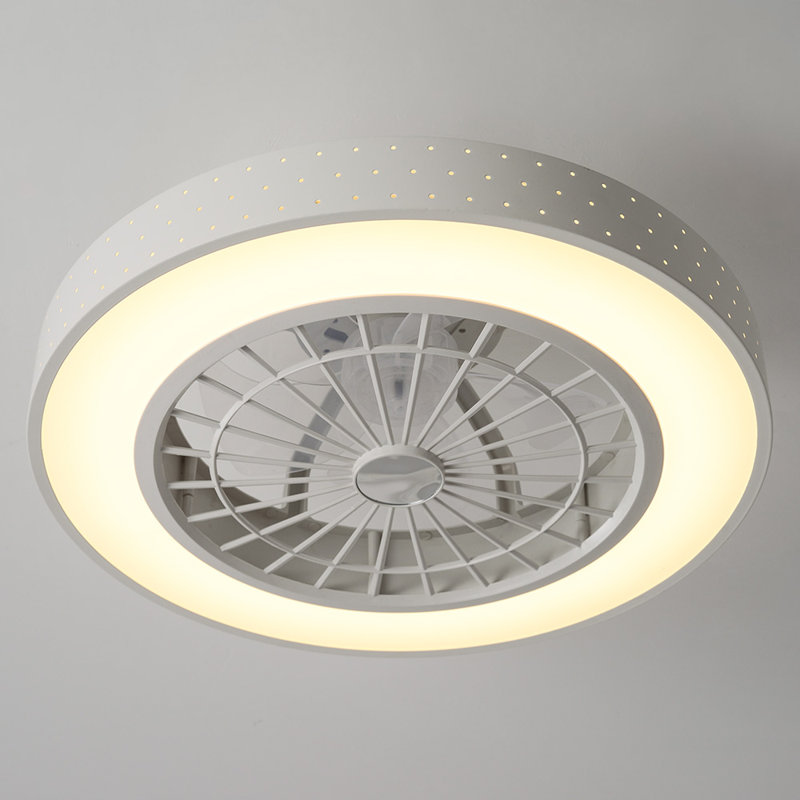 Ceiling Fan with LED Lights