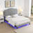 Exquisite Tufted Platform Nyiesha with Advanced Features for Comfortable Sleep-673374522