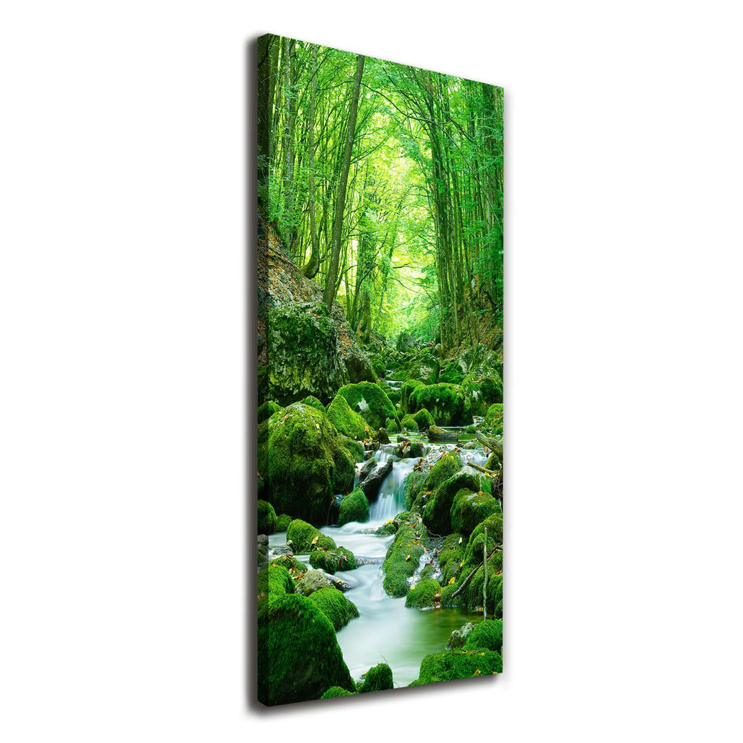 Stream In The Jungle - Kunstdrucke auf Leinwand