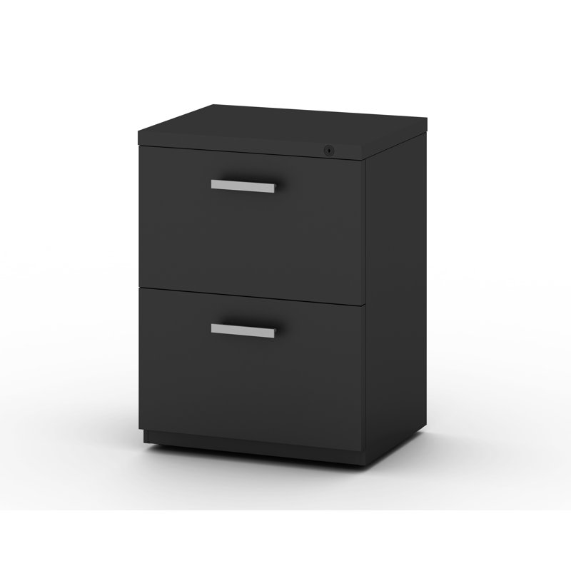 My-Hite Metal Vertical Filing Cabinet with 2 Drawers, 4 Casters, Interlock System, Black