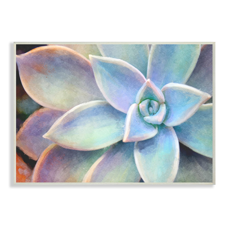«Succulent Plant Vibrant Bloom», impression, H 13 po x l 19 po x P 0,5 po, Plaque murale
