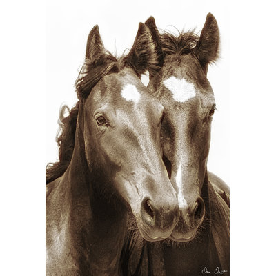 Portrait de cheval III