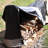 Soderquist Log Rack Cover - Grey And Black - Water-Resistant - 6-Foot-97789242