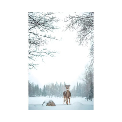 Deer in Deep Snow 1 Piece Wrapped Canvas Wall Art