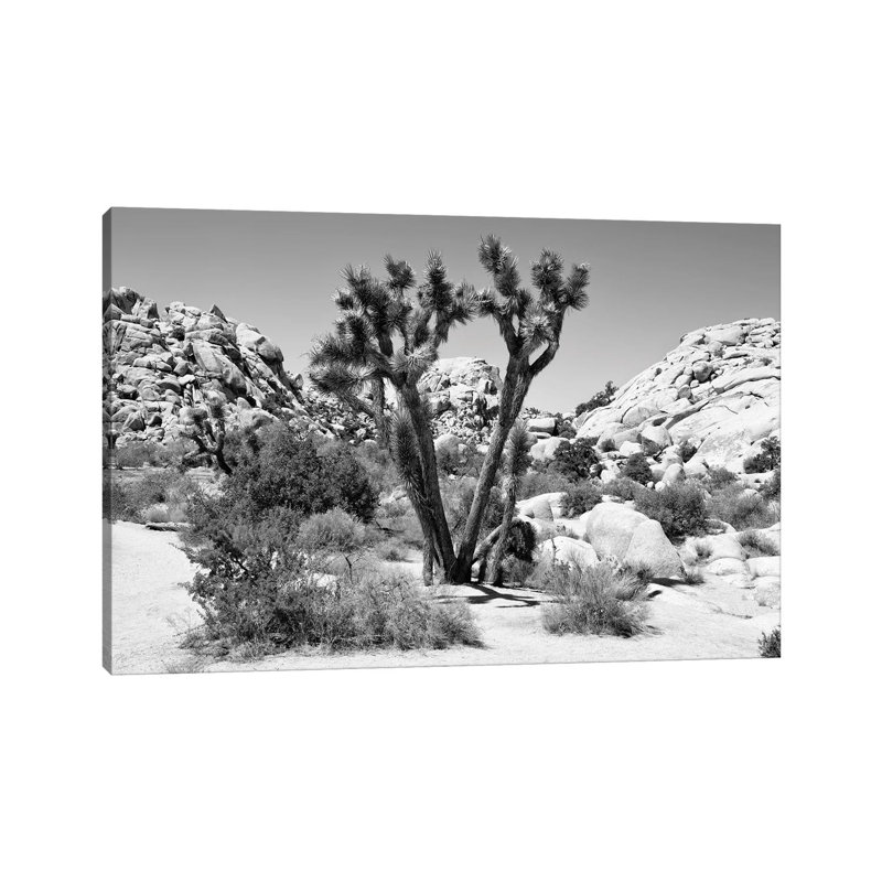 Joshua Tree II by Philippe Hugonnard - Wrapped Canvas Print, 20.32 cm H x 30.48 cm W