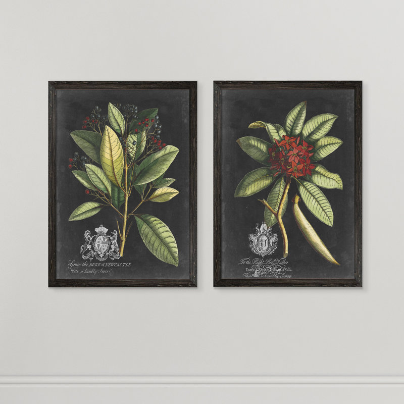 «Royal Foliage III» par Vincent Van Gogh - cadre photo 2 pièces, reproduction d'art, H 24 po x l 18 po x P 1,25 po