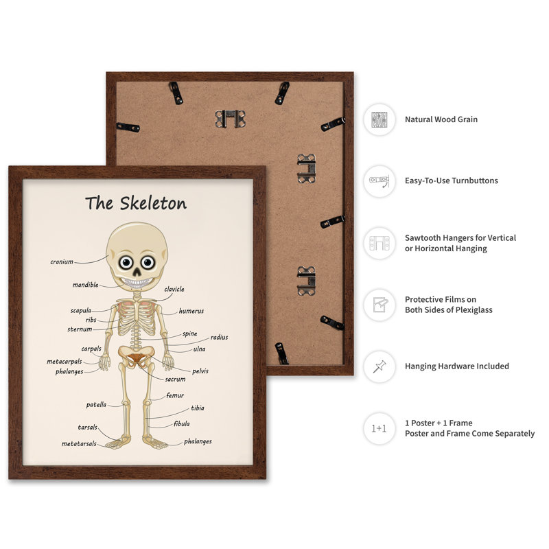 Le squelette, Poster, 16"H x 20"W, Brown Framed