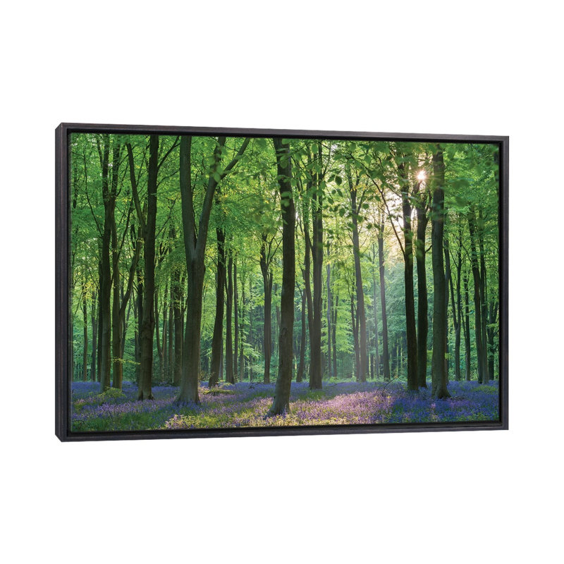 «Bluebell Forest II» par Adam Burton - reproduction de photo, H 26 po x l 40 po x P 1,5 po, Toile avec cadre noir patiné