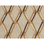 Geometric Area Rug in Beige
